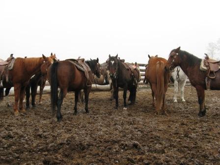 Flying U Ranch